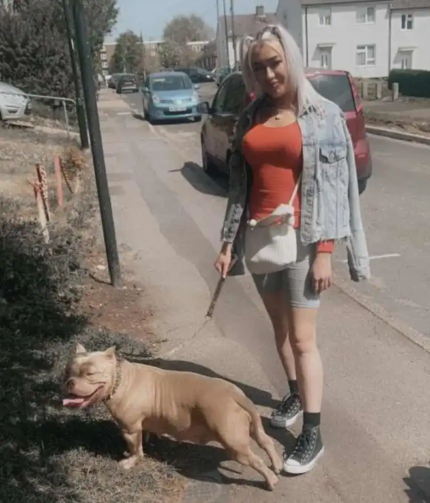  A Southampton family is looking for their beloved pet after she went missing yesterday and fears she may have been Dognapped after a man was spotted in the area with a beloved pet