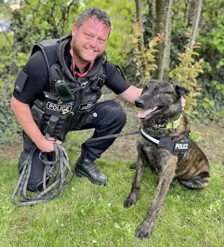 Brave Police Dog and PC Davidson Awarded After Fierce Pit Bull Attack to Nab Violent Fugitive in Balby