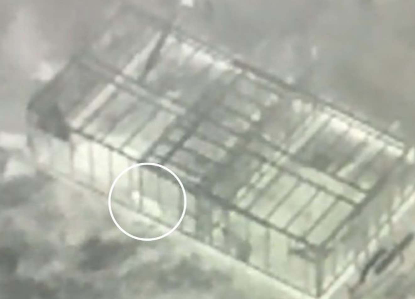 A Cromer Resident Has Been Found Guilty Of Illegally Keeping Two Serval Cats Without A Licence