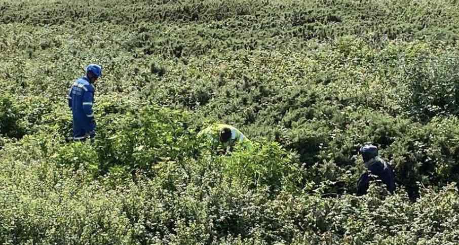 Newhaven Coastguard Team Was Called To A Paraglider That Had Crashed Into The Dense Gorse Bushes Near Newhaven Fort