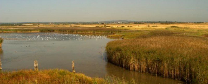 Body Found At Farlington Marshes In Portsmouth