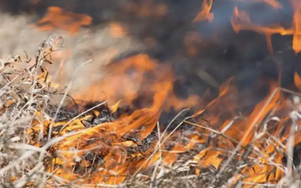 Arson Probe launched after Kent Fire and Rescue Service was called to a hay and corn fire in a field off Downs Road, Istead Rise, near Gravesend