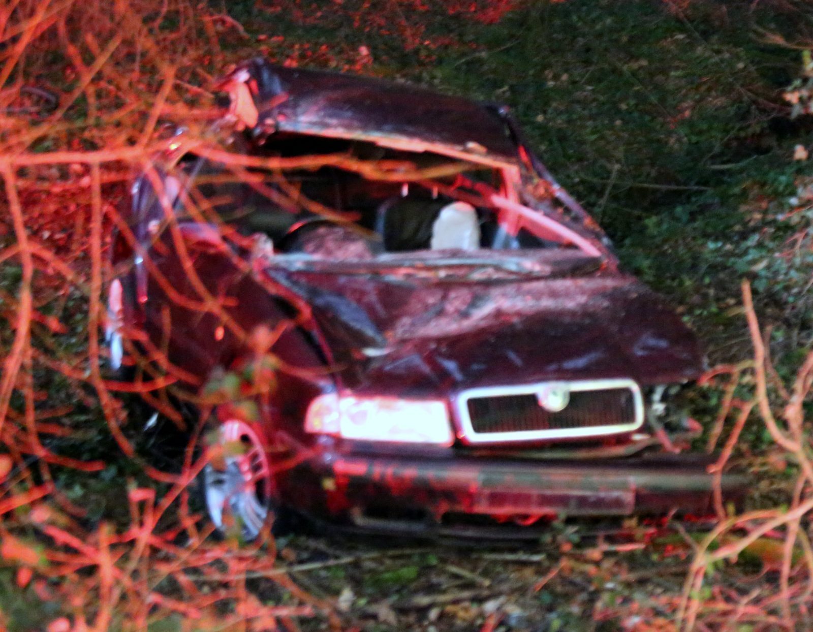 Driver Escapes Life Changing Injuries After Car Ploughs Into Tree On Beeper Shute