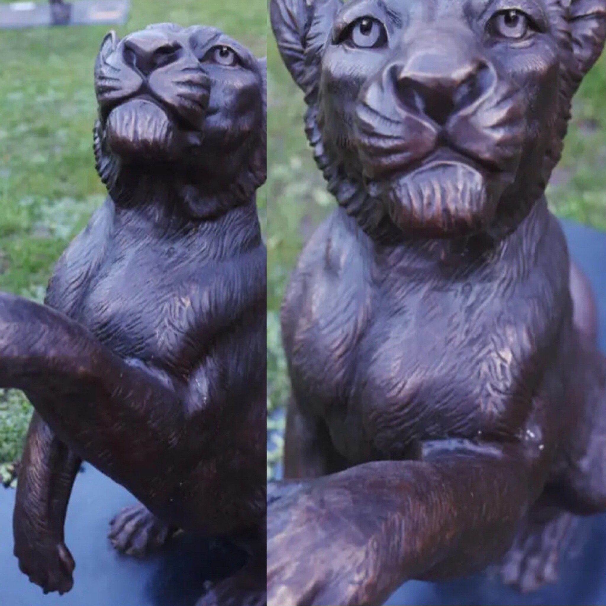 Police Are Asking For The Public's Assistance In Locating A Bronze Lion Sculpture That Was Stolen From The Downs In Bristol Last Week