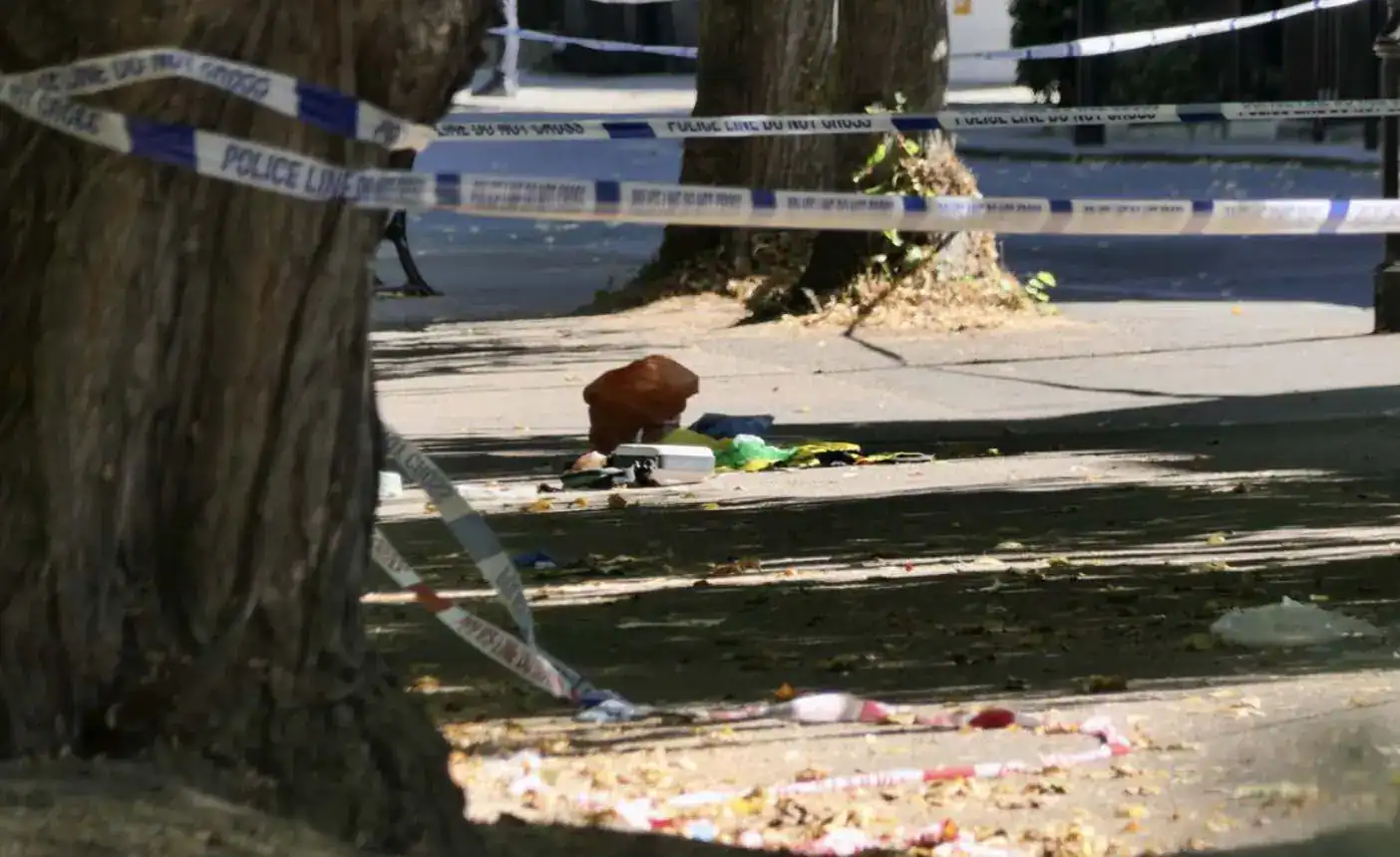 Teen, 15, Stabbed to Death in Highbury Fields Murder Probe