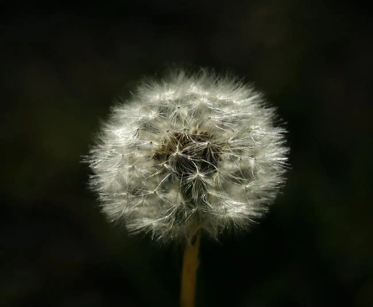 NHS Bans Kenalog Hay Fever Jab Amid Side Effect Fears as Crackdown Targets Illegal Clinic Ads