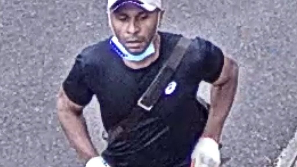 Police investigating the stabbing death of 87-year-old Thomas O’Halloran have released images of a man seen fleeing the scene armed with …