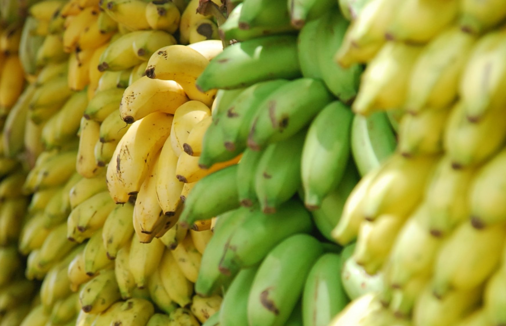 Ecuadorian Authorities Have Seized Around 3.5 Tons Of Cocaine Bound For The Uk And The Netherlands