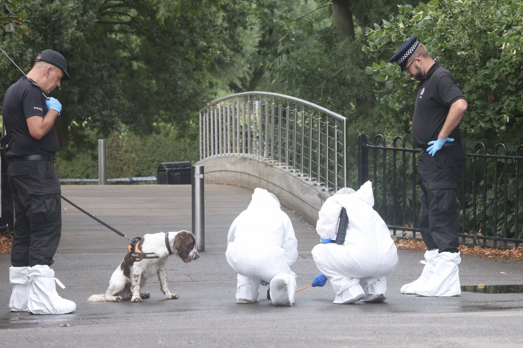 Officers Investigating A Fatal Stabbing In Tonbridge Have Made Five More Arrests