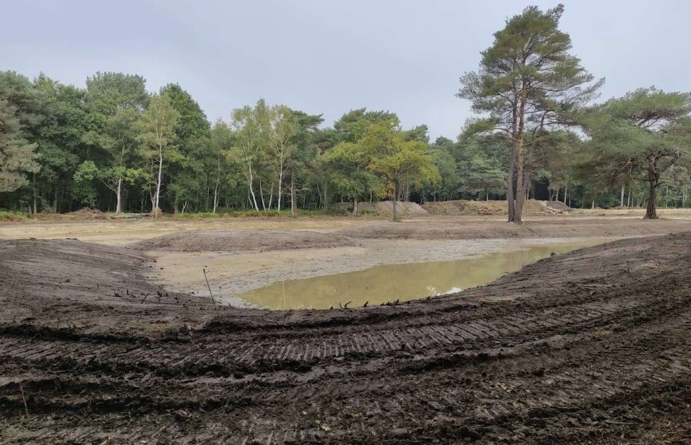 Surrey County Council Is Working With The Horsell Common Preservation Society And Woking Borough Council To Help Prevent Flash Flooding Of Properties Around Horsell Common In Woking