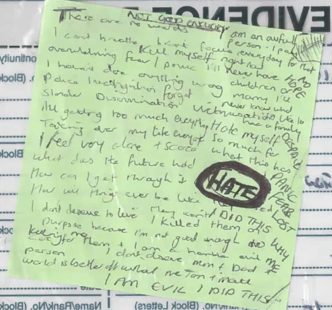 A nurse accused of murdering seven babies and attempting to murder ten more is being held accountable for failings at her hospital, a cou…