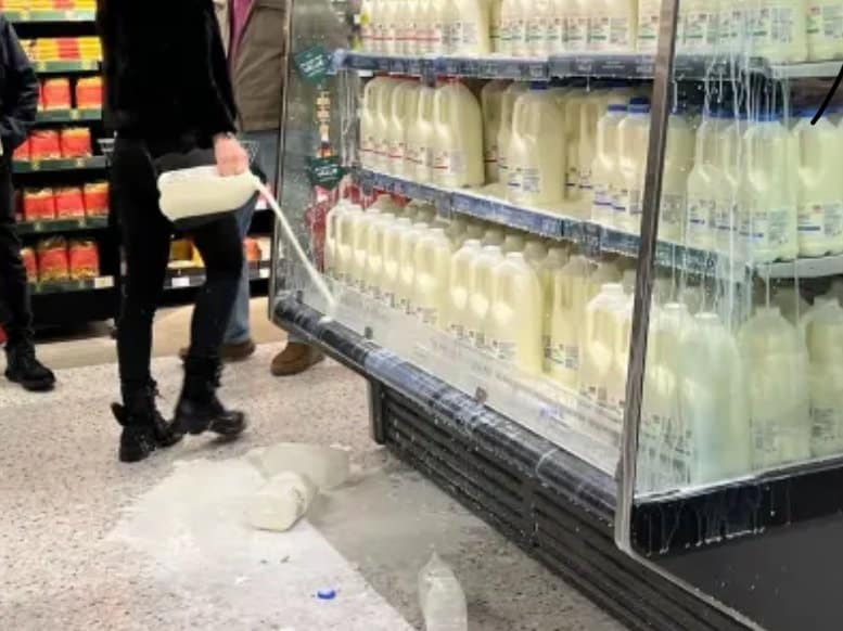 Protesters For The Animal Rebellion Have Poured Milk On The Floor Of Stores Across The Country