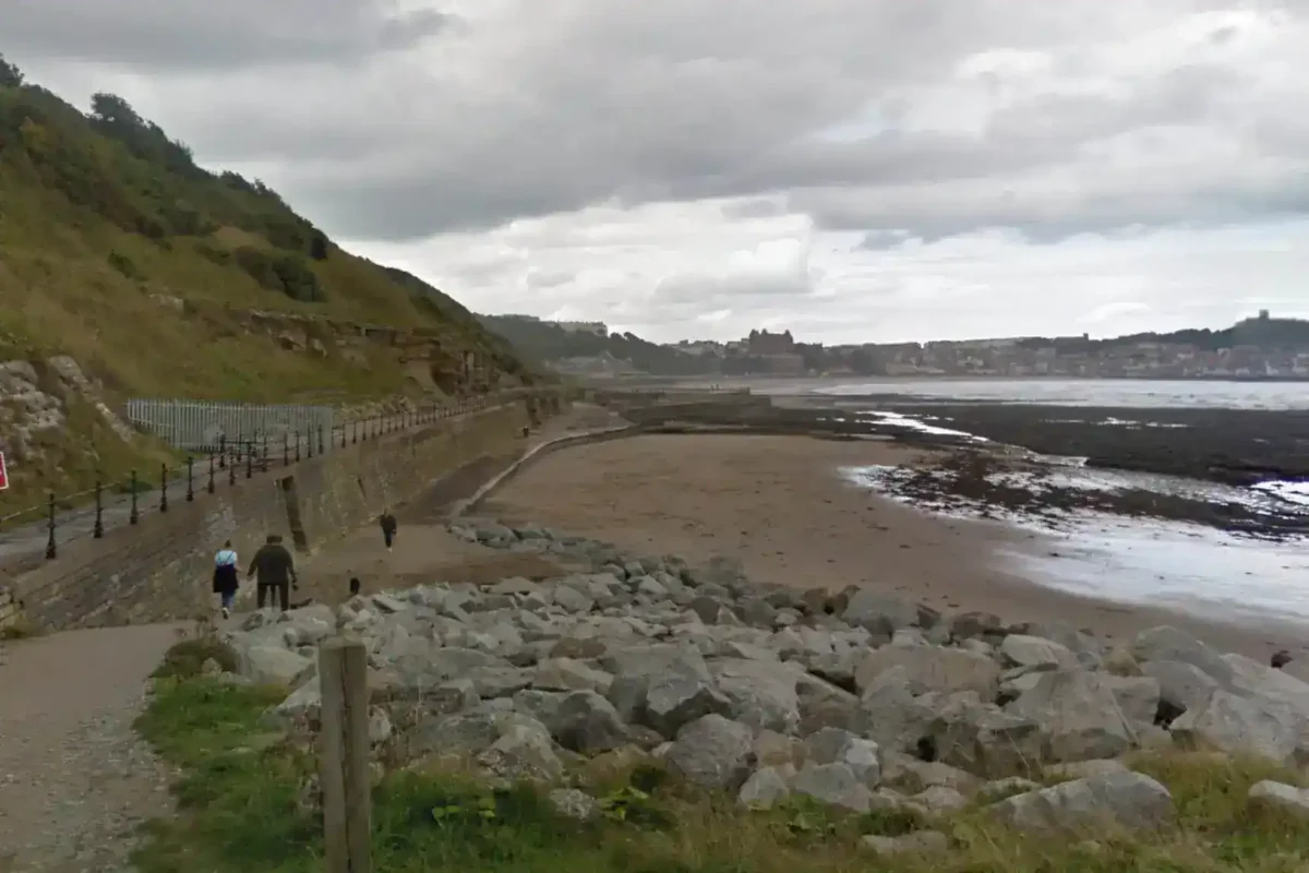 Scarborough Bull Terrier Attack: Woman Bitten and Dragged Near Holbeck Hill – Police Seek Dog Owner Witnesses
