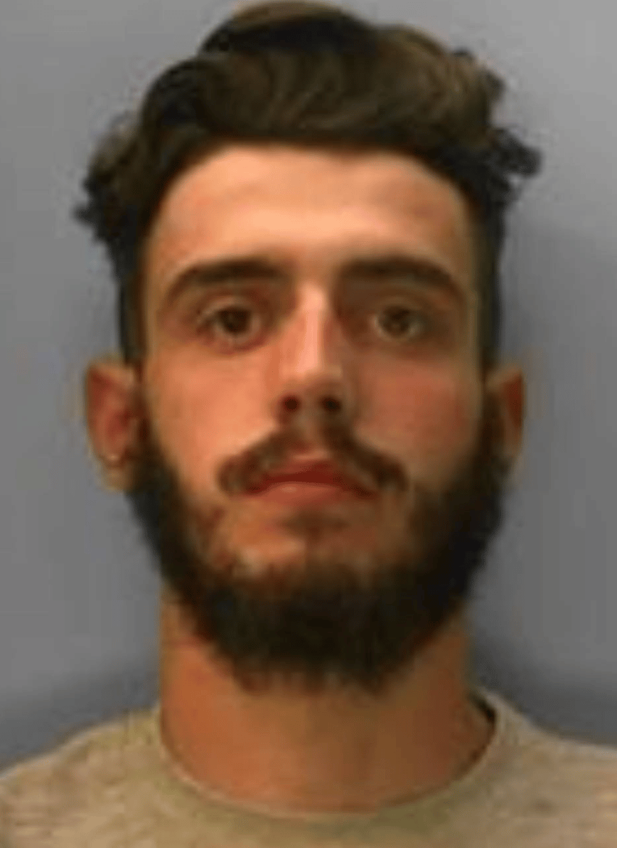 Have You Seen Connor Boxall From Brighton?