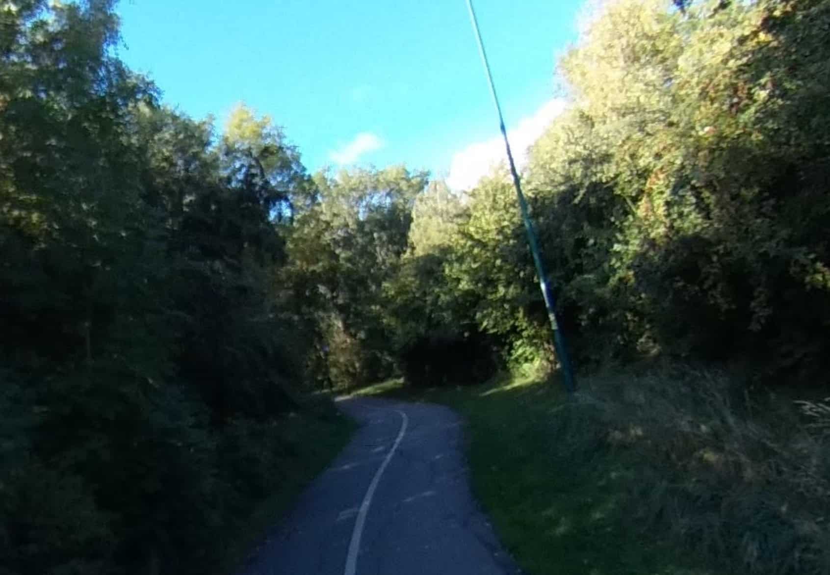 Police Are Appealing For Information After A Young Man Indecently Exposed Himself To An 8 Year Old Boy