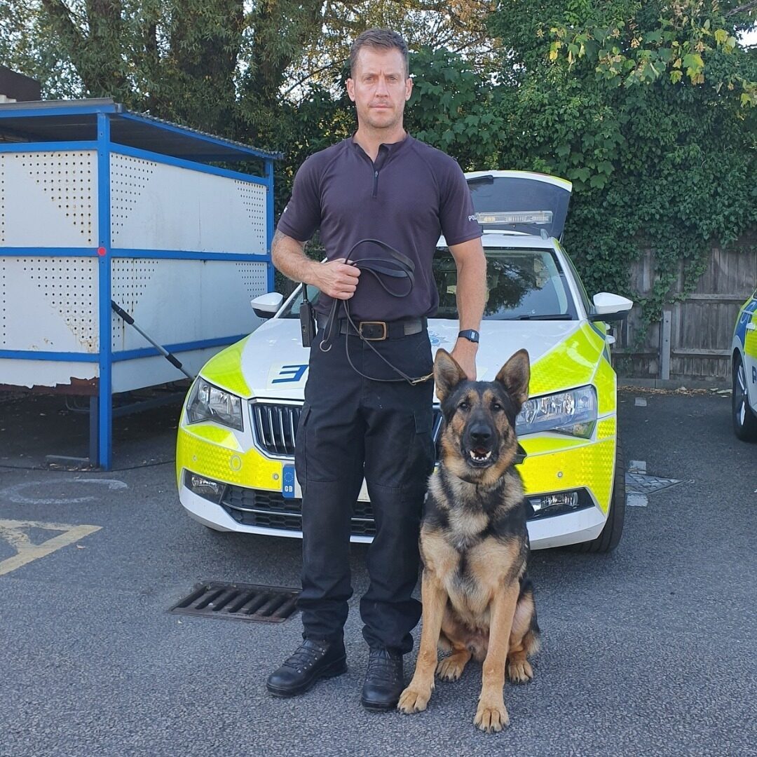 Pd Rogue Lead Officers To Two Men In Hastings Who Rammed A Police Car And Drove Off
