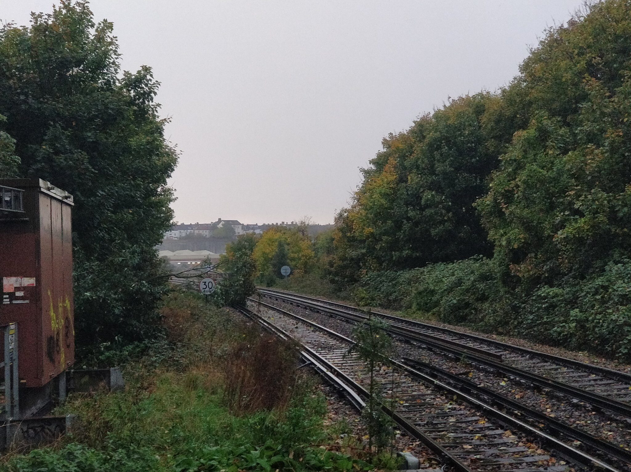 Fallen Tree On The Brighton To Lewes Branch Line