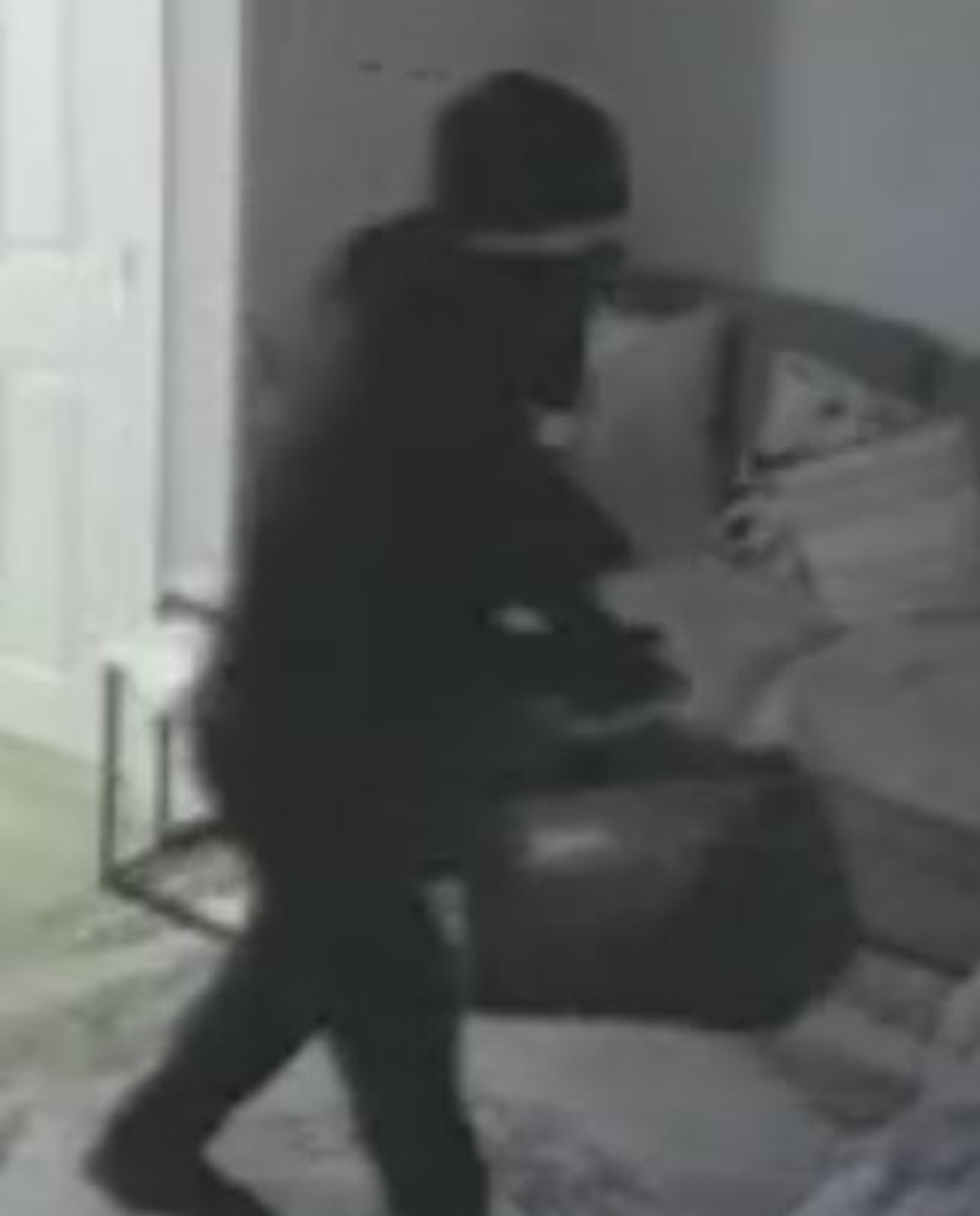 Identity Sort After 19 Residential Burglaries Across East Sussex