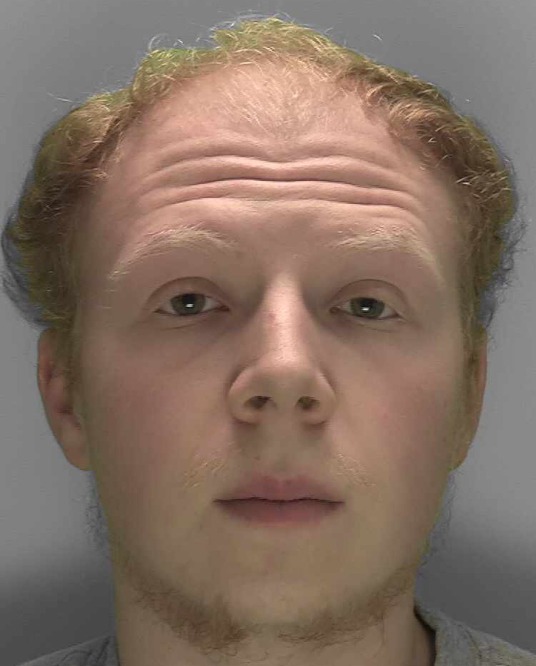 Crawley Man Jailed For Unprovoked Attack On Dog Walker