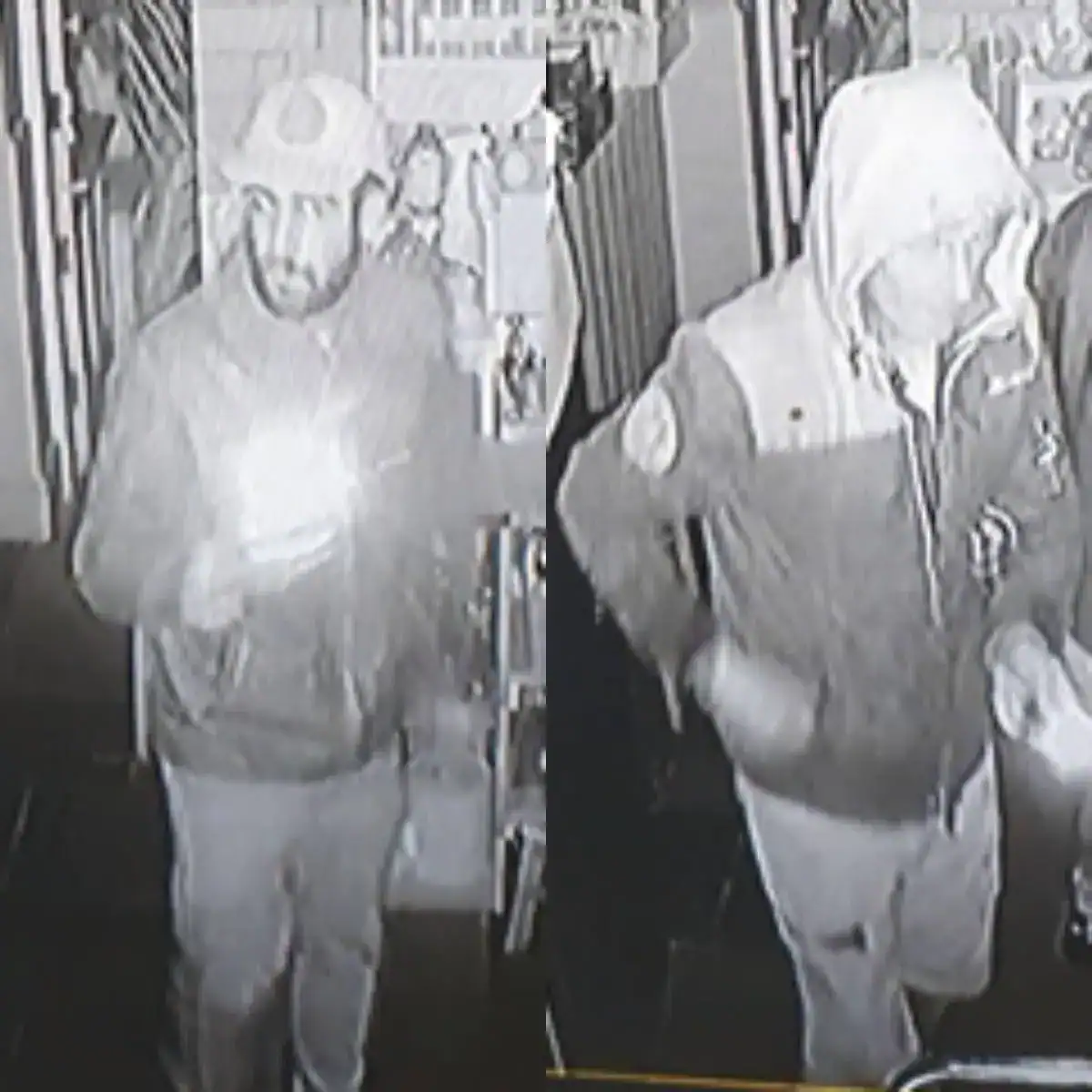 Appeal After The Old Rec Café, In Hove Recreation Ground Was Broken Into