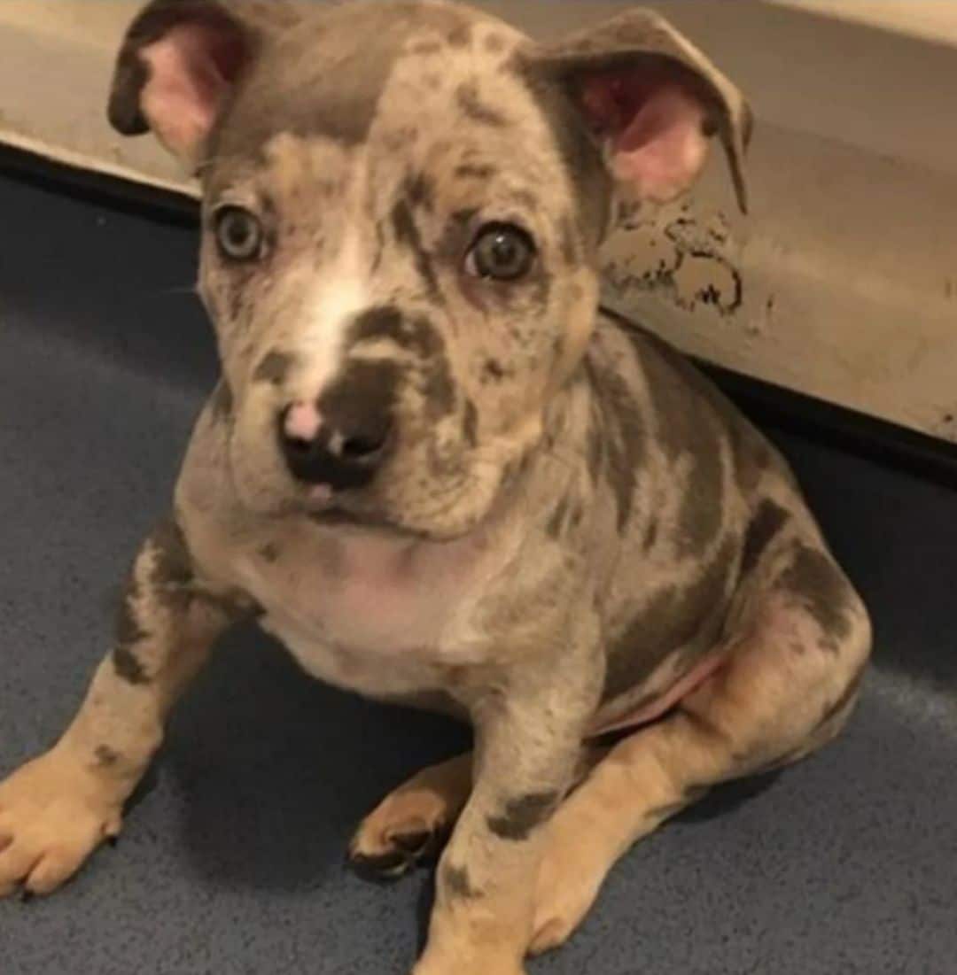 A Gang Of Three Men Who Tied Up Their Victim During A Violent Burglary Have Been Jailed For A Total Of 35 Years