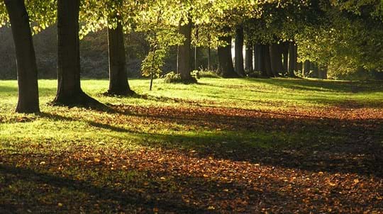 Police in Hampshire are appealing for witnesses following an initial Hare Coursing incident, however the dog then got into a field which …