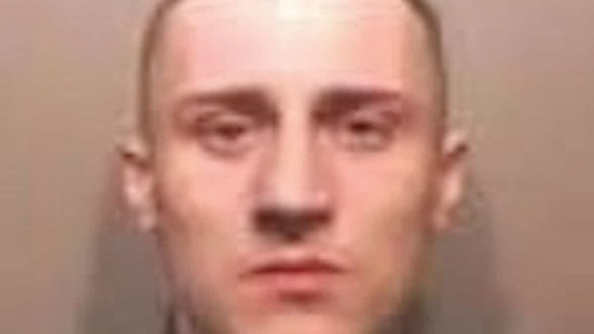 The thugs are reportedly suing Adam White, 34, after he chased them down in his Mercedes 4×4 while they were armed with bolt cutters and …