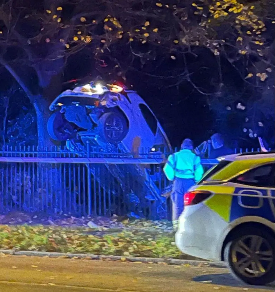 Car takes off and lands in Horsham Park