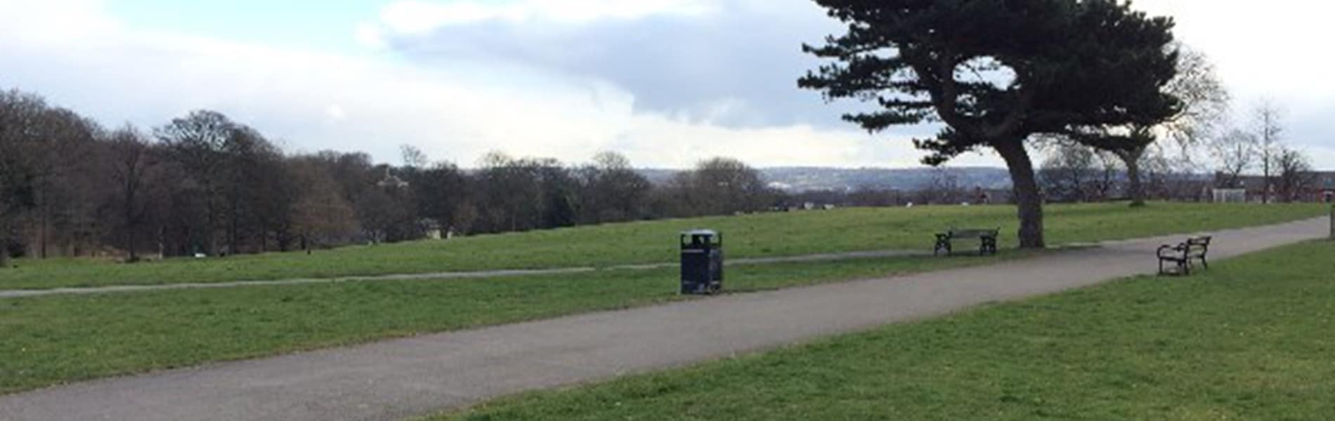 Detectives Have Arrested A Man On Suspicion Of Assault And Attempted Rape After An Elderly Woman Was Assaulted In A Park At The Weekend.