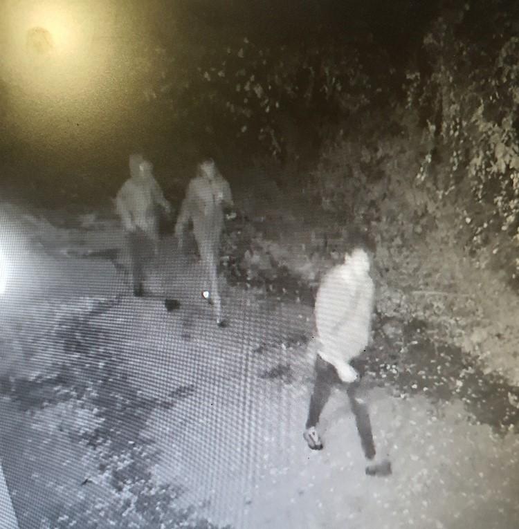 Appeal After Teenagers Were Threatened With An Imitation Firearm In Horsham