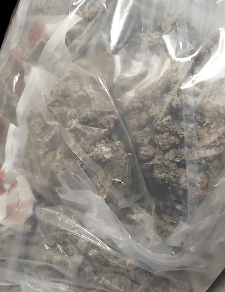 A large amount of cannabis was seized after officers in Canterbury took action