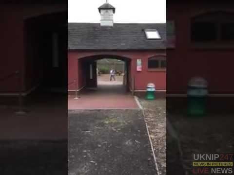 Marwell Zoo On Lockdown After Monkey Escape