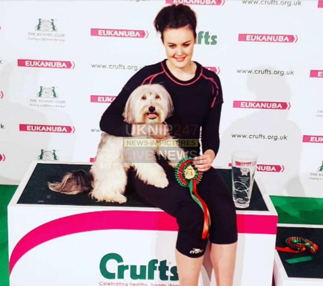 Britain Got Talent Pudsey The Dog Has Died