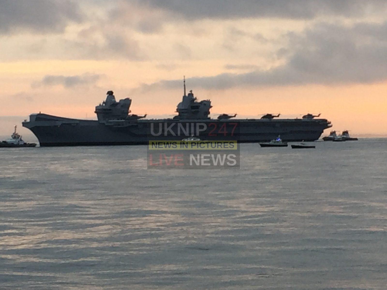 Welcome Home  Queen Lizzie