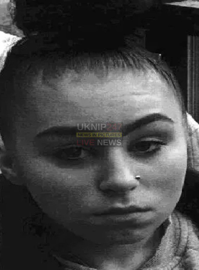 Have You Seen Missing Demi Hamilton From Purley