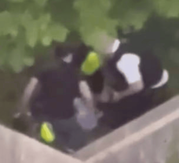 Phone footage shows officers hitting a person several times as they drag him to the ground in a fenced-in garden, which was then posted o…