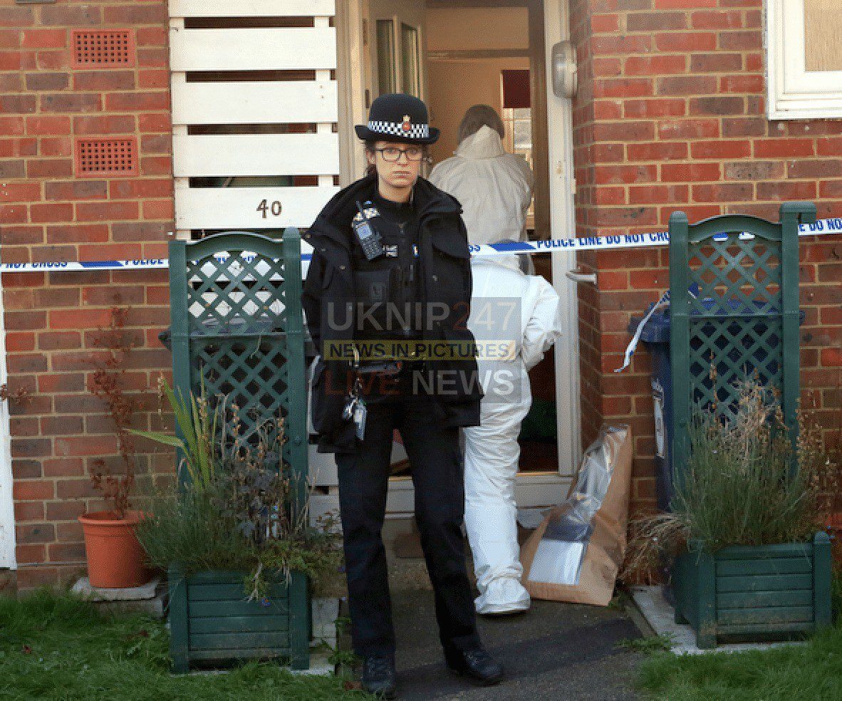 "mary Has Gone To Heaven Now "as Police Recover Weapon From Godalming Home Used To Kill The Pensioner