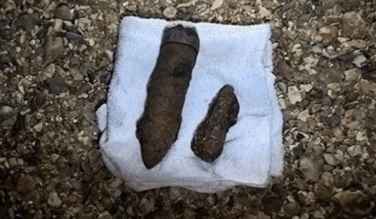 Oops :dozy Cops From Hampshire Appeal After Bombs Nicked From The Sea