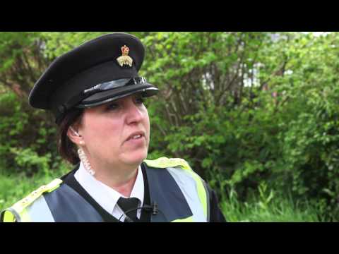 Wickham Horse Fair 2015  #uknip