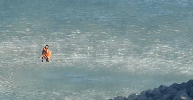 Person Rescued Off Folkstone Rocks By Coastguard Rescue Helicopter