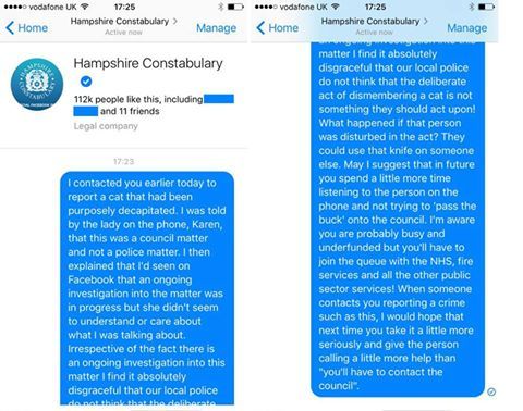 Hampshire Police Fail To Respond To Fourth Decapitated Cat  Found In Portsmouth