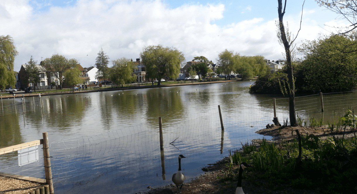 Police Probe After Portsmouth School Girls Flashed At By Balaclava Covered Man