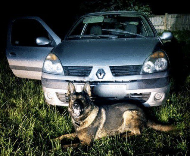 Two Travelling Thieves Make Friend With A Kent Police Dog