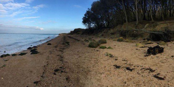 Woman Found By Dog Walking Pair On East Cowes Beach Is Very Lucky