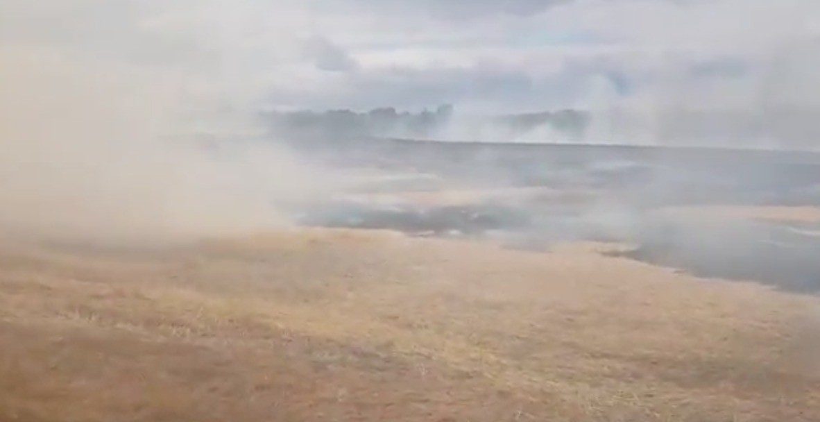 Fire Crews Called To Corn Field Well Alight  In West Malling