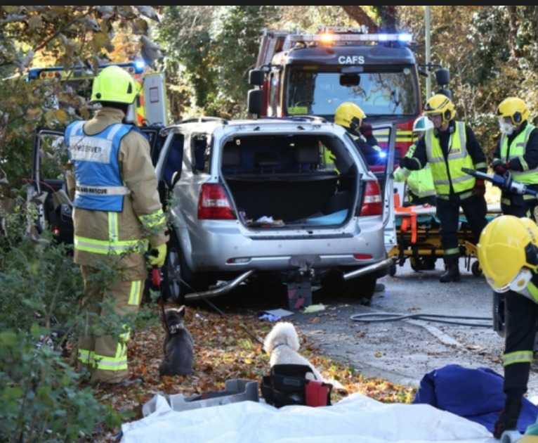 Slow Down To Reduce Your Chances Of Being Involved In A Serious Collision