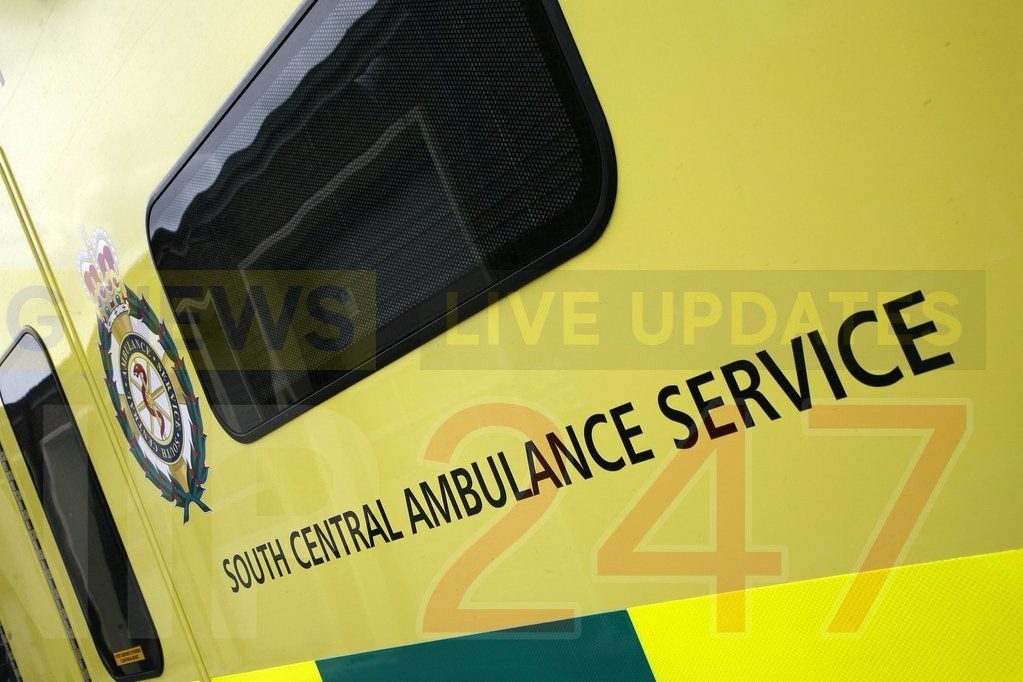 Two Arrested After Child Is Mauled By Dog In Waterlooville