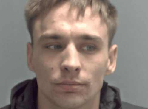 For A Series Of Sexual Offences, A 29-year-old Man Was Sentenced To More Than Eight Years In Prison