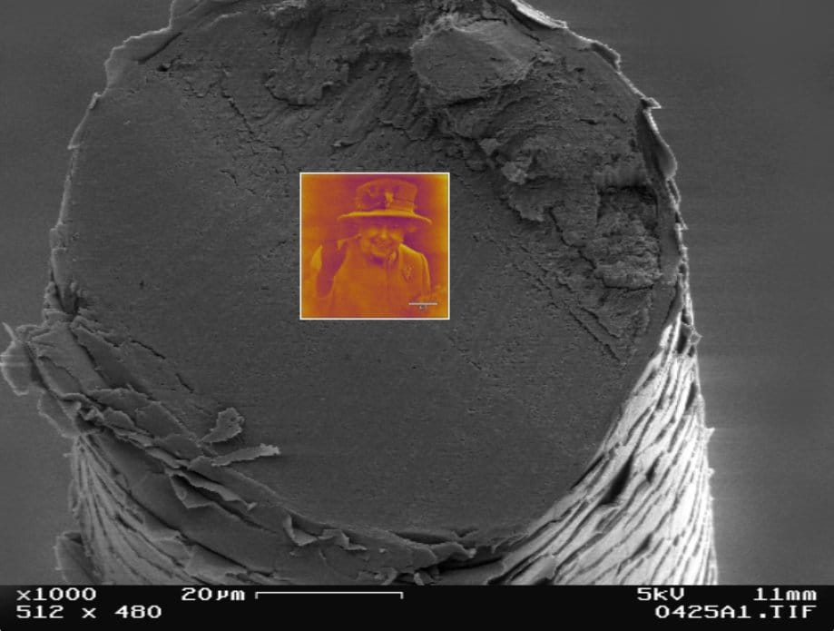 The Smallest Portrait Ever Created Of Her Late Majesty Queen Elizabeth Ii Has Been Sold At A Charity Auction At The British Chamber Of Commerce In Taipei, Taiwan.