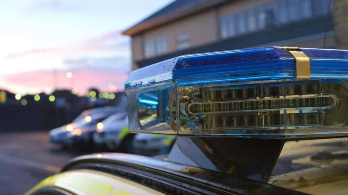 Three Police Officers Were Injured As They Arrested Suspected Burglars At A House Filled With Cannabis Plants